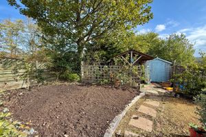 Garden- click for photo gallery